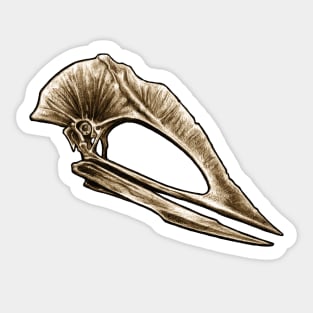 Tupuxura Pterosaur Skull Sticker